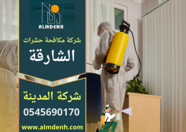 فني من شركة مكافحة حشرات في الشارقة يقوم برش مبيدات آمنة داخل منزل للقضاء على الحشرات بشكل نهائي.