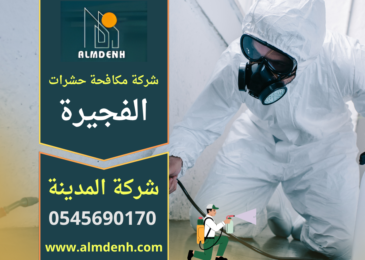 فني من شركة مكافحة حشرات في الفجيرة ينفذ عملية رش مبيدات آمنة داخل منزل للتخلص من الحشرات بشكل نهائي.