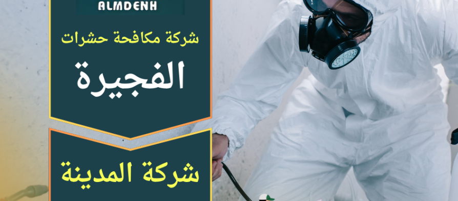فني من شركة مكافحة حشرات في الفجيرة ينفذ عملية رش مبيدات آمنة داخل منزل للتخلص من الحشرات بشكل نهائي.
