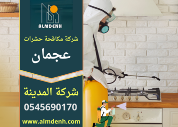 صورة توضح فريق شركة مكافحة حشرات في عجمان يقوم برش مبيدات آمنة داخل منزل للتخلص من الصراصير والحشرات نهائيا.