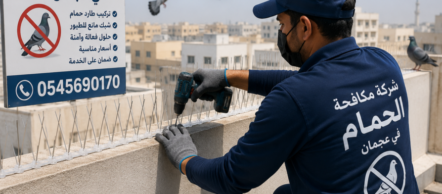 شركة مكافحة الحمام في عجمان