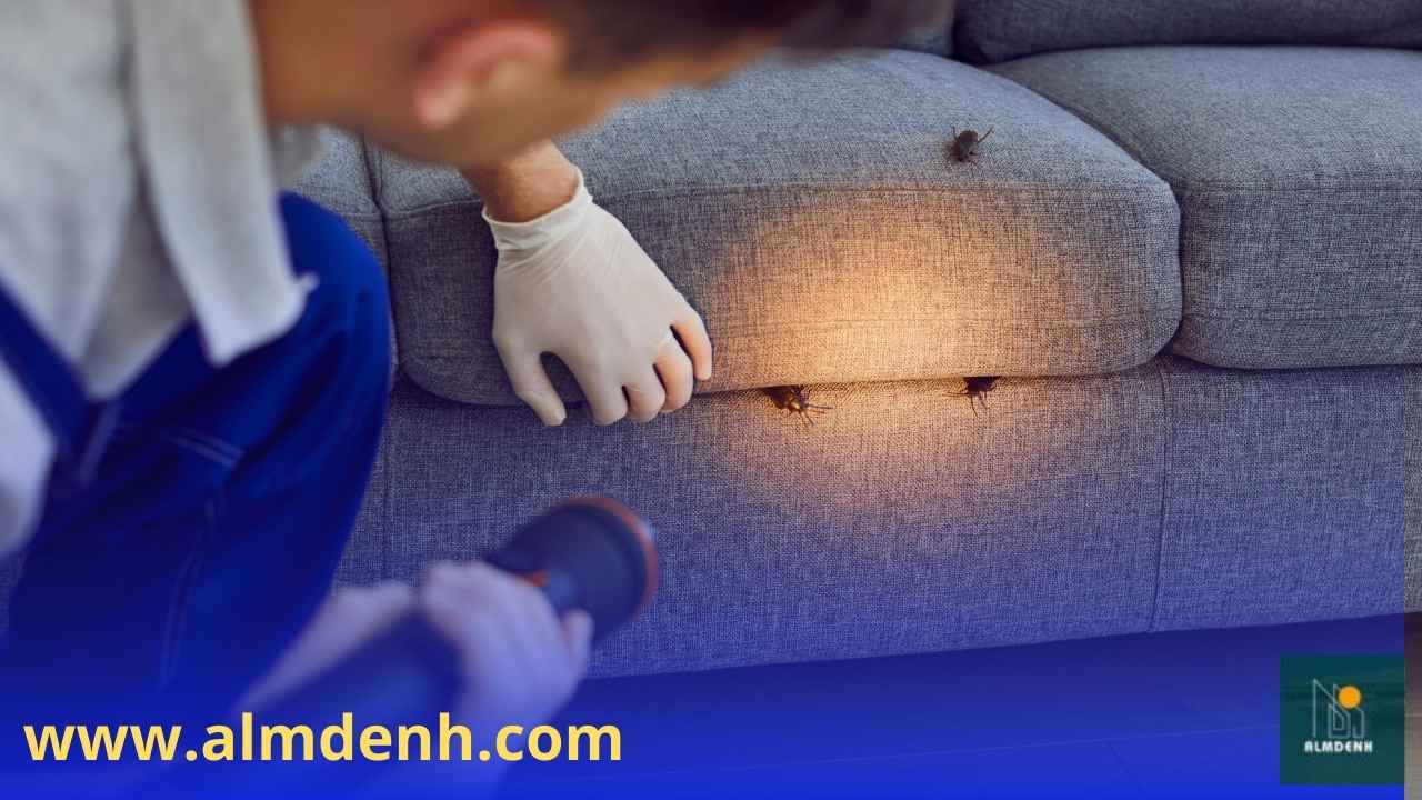 فني متخصص من إحدى أفضل شركات إبادة الحشرات في راس الخيمة يستخدم كشافًا لفحص الأثاث وتحديد أماكن تجمع الآفات المنزلية بدقة.