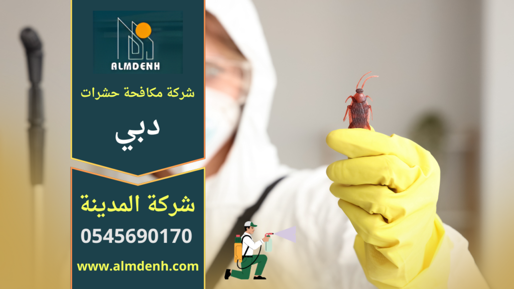 فريق متخصص من شركة مكافحة حشرات في دبي يستخدم معدات حديثة للقضاء على الحشرات داخل المنازل بسرعة وبدقة.
