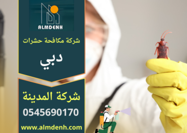 فريق متخصص من شركة مكافحة حشرات في دبي يستخدم معدات حديثة للقضاء على الحشرات داخل المنازل بسرعة وبدقة.