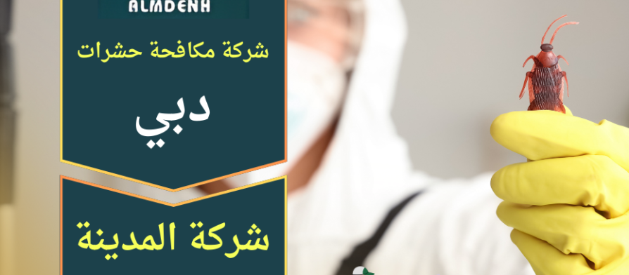 فريق متخصص من شركة مكافحة حشرات في دبي يستخدم معدات حديثة للقضاء على الحشرات داخل المنازل بسرعة وبدقة.