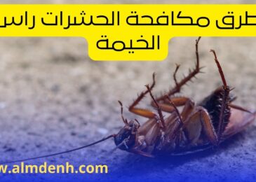 مكافحة الحشرات راس الخيمة
