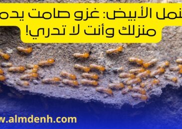 النمل الأبيض: غزو صامت يدمر منزلك وأنت لا تدري!