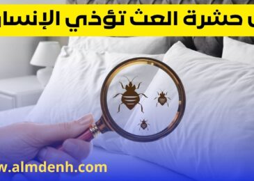حشرة العث