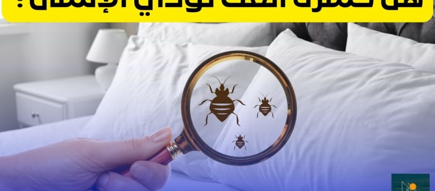 حشرة العث