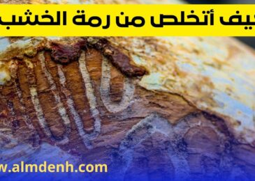 رمة الخشب