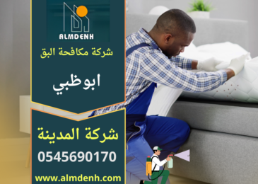 "فريق متخصص من شركة مكافحة البق في أبوظبي يقوم بفحص الأسرة ورش المواد المخصصة للقضاء على البق داخل غرفة نوم."