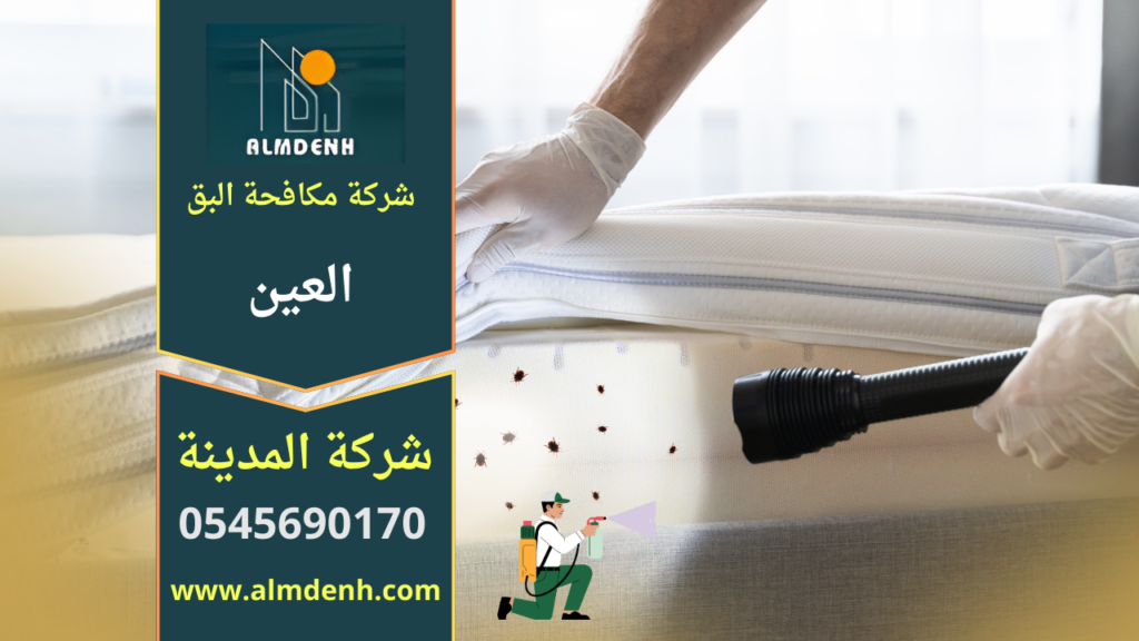 فريق متخصص من شركة مكافحة البق في العين يقوم بفحص المراتب واستخدام معدات حديثة للقضاء على البق داخل المنازل.