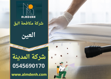 فريق متخصص من شركة مكافحة البق في العين يقوم بفحص المراتب واستخدام معدات حديثة للقضاء على البق داخل المنازل.
