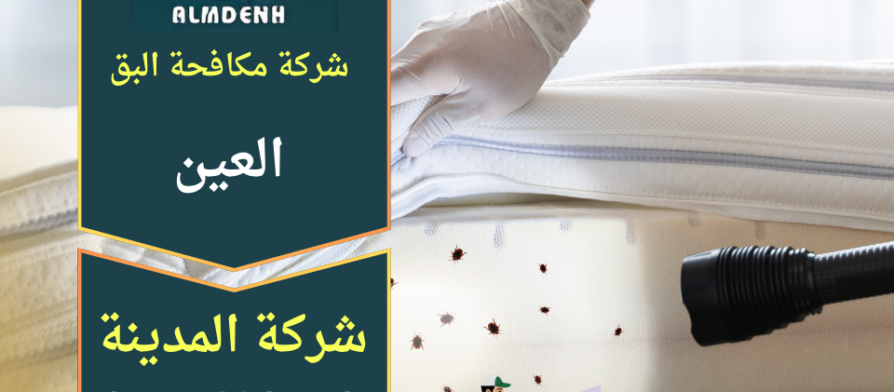 فريق متخصص من شركة مكافحة البق في العين يقوم بفحص المراتب واستخدام معدات حديثة للقضاء على البق داخل المنازل.