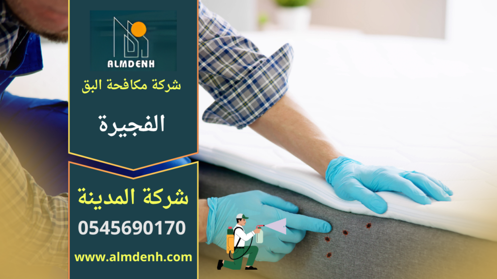 فريق متخصص من شركة مكافحة البق في الفجيرة يقوم بفحص المراتب ورش المبيدات الاحترافية لإزالة بق الفراش داخل المنزل.