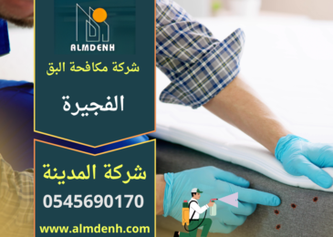 فريق متخصص من شركة مكافحة البق في الفجيرة يقوم بفحص المراتب ورش المبيدات الاحترافية لإزالة بق الفراش داخل المنزل.