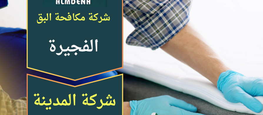 فريق متخصص من شركة مكافحة البق في الفجيرة يقوم بفحص المراتب ورش المبيدات الاحترافية لإزالة بق الفراش داخل المنزل.