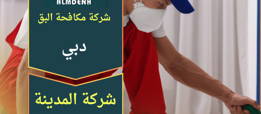 وجود فريق فني من شركة مكافحة البق في دبي يقوم بفحص غرفة نوم ورش الحشرات باستخدام معدات احترافية للقضاء على البق نهائيًا.