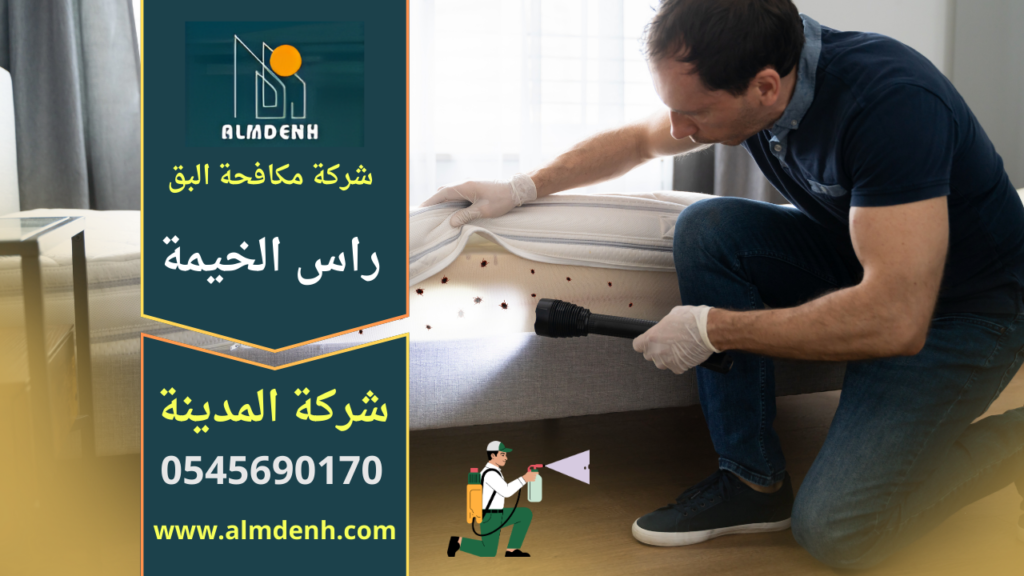 فريق محترف من شركة مكافحة البق في راس الخيمة يقوم بفحص المراتب ورش المبيدات المتخصصة للقضاء على البق داخل غرف النوم.