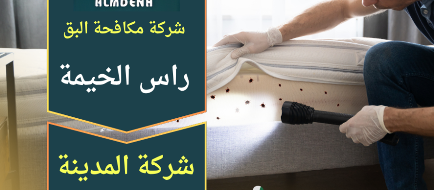فريق محترف من شركة مكافحة البق في راس الخيمة يقوم بفحص المراتب ورش المبيدات المتخصصة للقضاء على البق داخل غرف النوم.