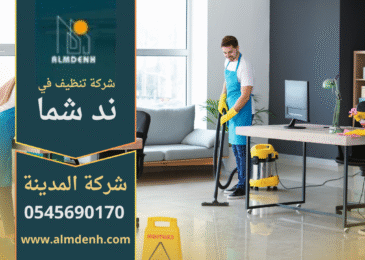 عمال من شركة تنظيف في ند شما يستخدمون معدات حديثة لتنظيف فيلا كبيرة.