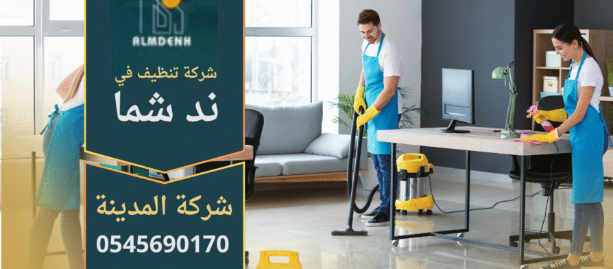 عمال من شركة تنظيف في ند شما يستخدمون معدات حديثة لتنظيف فيلا كبيرة.
