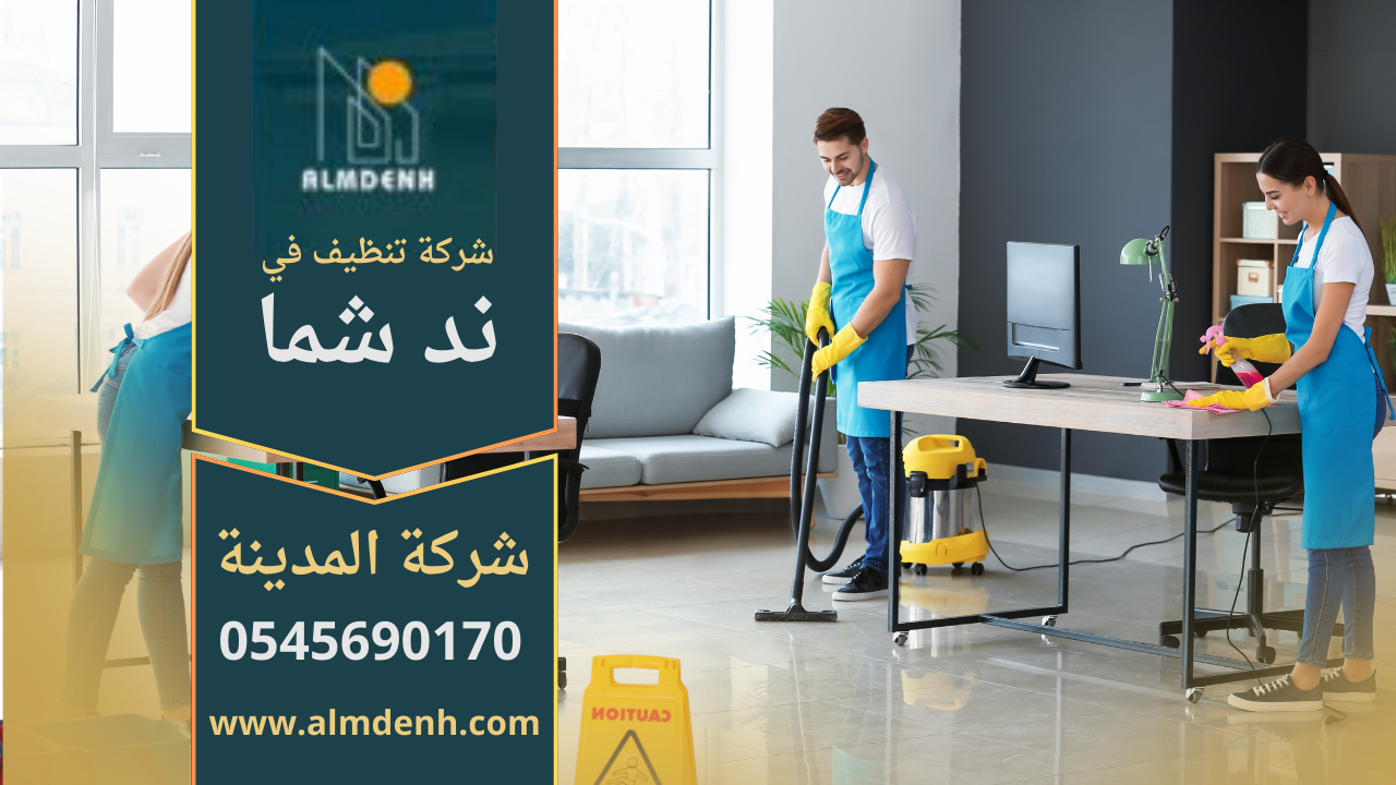 عمال من شركة تنظيف في ند شما يستخدمون معدات حديثة لتنظيف فيلا كبيرة.