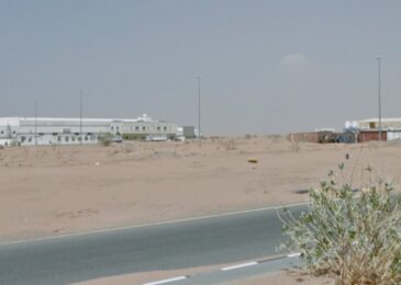 صورة توضح معالم منطقة أم الثعلوب مع طبيعتها الهادئة ومظاهرها المحلية