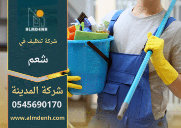عمال شركة تنظيف في شعم ينفذون تنظيف شامل للمنازل باستخدام أجهزة بخار حديثة.