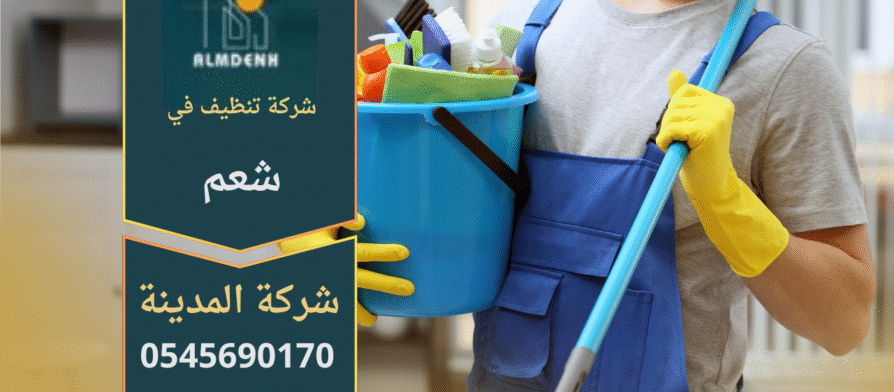 عمال شركة تنظيف في شعم ينفذون تنظيف شامل للمنازل باستخدام أجهزة بخار حديثة.