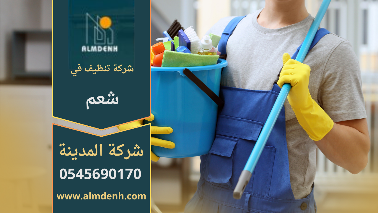 عمال شركة تنظيف في شعم ينفذون تنظيف شامل للمنازل باستخدام أجهزة بخار حديثة.