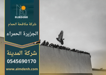 حمام يتجمع على سطح مبنى في منطقة الجزيرة الحمراء، مما يبرز أهمية خدمات شركة مكافحة الحمام في الجزيرة الحمراء للحفاظ على نظافة المكان ومنع انتشار الطيور.