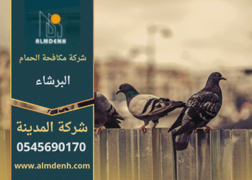 صورة توضح تجمع الحمام على سطح أحد المباني في البرشاء، مما يبرز أهمية خدمات شركة مكافحة الحمام في البرشاء لحماية الأسطح والواجهات من الأضرار.