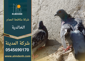 صورة توضّح تجمع الحمام على أسطح المباني في الخالدية مع حلول فعّالة من شركة مكافحة الحمام في الخالدية لإبعاد الطيور وحماية الواجهات.