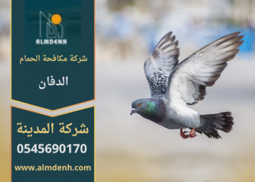 حمام يتجمع على سطح مبنى في منطقة الدفان، مما يبرز أهمية خدمات شركة مكافحة الحمام في الدفان للحد من انتشار الطيور والحفاظ على نظافة المكان.