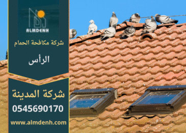 فريق من شركة مكافحة الحمام في الرأس يركب شبك وأسلاك طاردة للحمام على الأسطح والنوافذ بطريقة آمنة وفعالة.