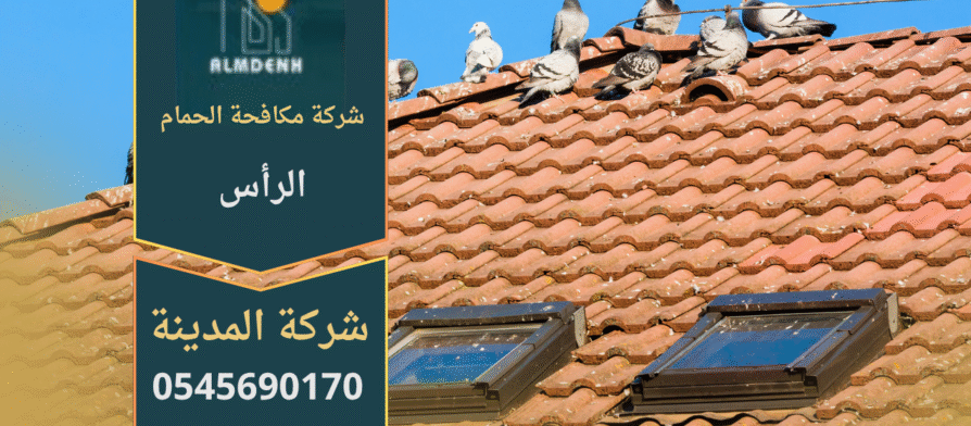 فريق من شركة مكافحة الحمام في الرأس يركب شبك وأسلاك طاردة للحمام على الأسطح والنوافذ بطريقة آمنة وفعالة.