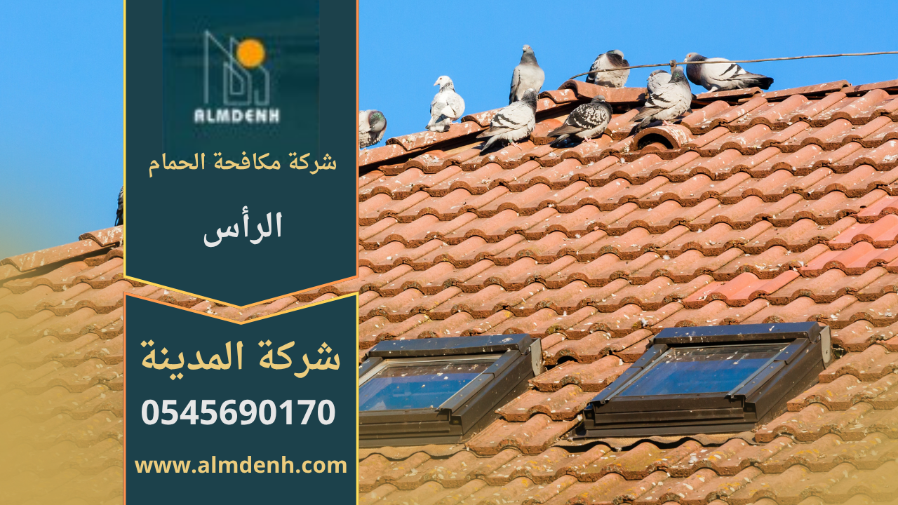 فريق من شركة مكافحة الحمام في الرأس يركب شبك وأسلاك طاردة للحمام على الأسطح والنوافذ بطريقة آمنة وفعالة.