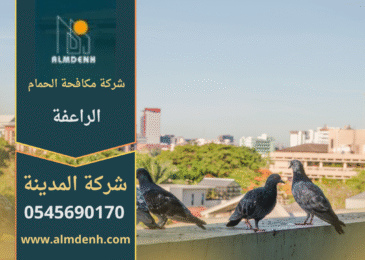 صورة توضح فريق شركة مكافحة الحمام في الراعفة أثناء تركيب شبك حماية على الأسطح لمنع تجمع الحمام.