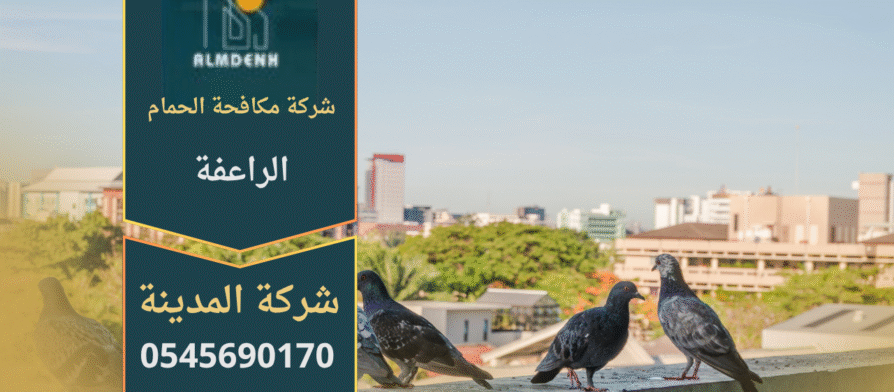 صورة توضح فريق شركة مكافحة الحمام في الراعفة أثناء تركيب شبك حماية على الأسطح لمنع تجمع الحمام.