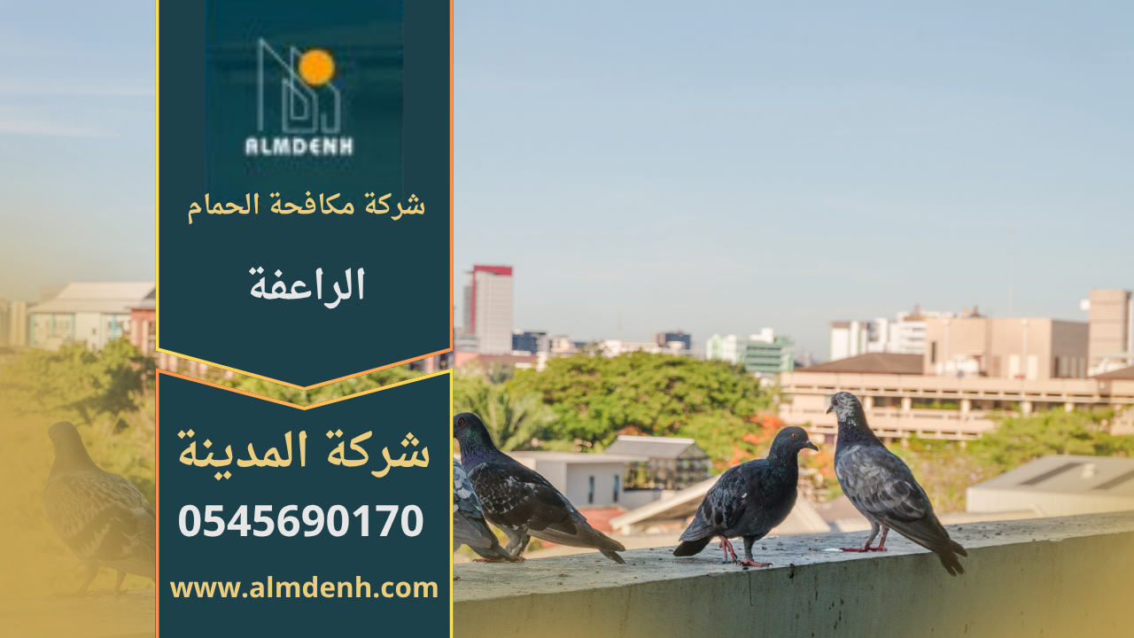 صورة توضح فريق شركة مكافحة الحمام في الراعفة أثناء تركيب شبك حماية على الأسطح لمنع تجمع الحمام.