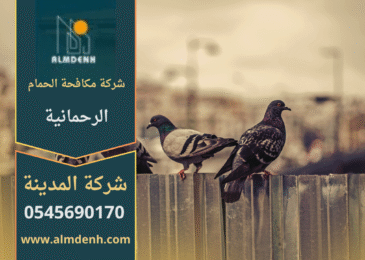 صورة توضح فريق شركة مكافحة الحمام في الرحمانية أثناء تركيب شبك مانع للحمام على سطح أحد المباني لحمايته من الطيور.