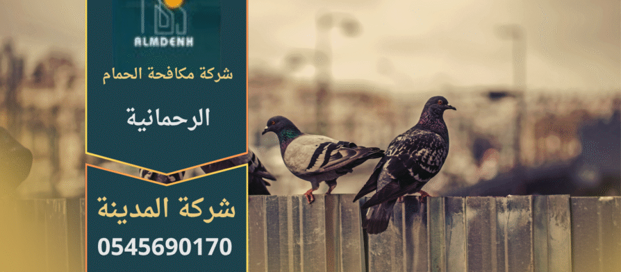 صورة توضح فريق شركة مكافحة الحمام في الرحمانية أثناء تركيب شبك مانع للحمام على سطح أحد المباني لحمايته من الطيور.