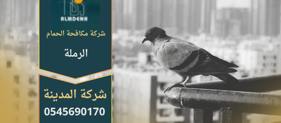 حمام يتجمع على سطح مبنى في منطقة الرملة، مما يوضح أهمية خدمات شركة مكافحة الحمام في الرملة للحفاظ على نظافة المكان ومنع انتشار الطيور.