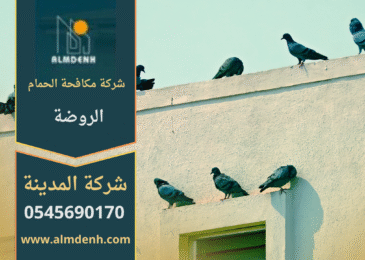 صورة توضّح تجمع الحمام على أسطح المباني في الروضة مع حلول فعّالة من شركة مكافحة الحمام في الروضة لإبعاد الطيور وحماية الواجهات.