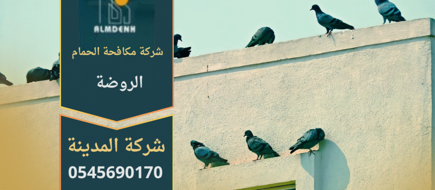 صورة توضّح تجمع الحمام على أسطح المباني في الروضة مع حلول فعّالة من شركة مكافحة الحمام في الروضة لإبعاد الطيور وحماية الواجهات.