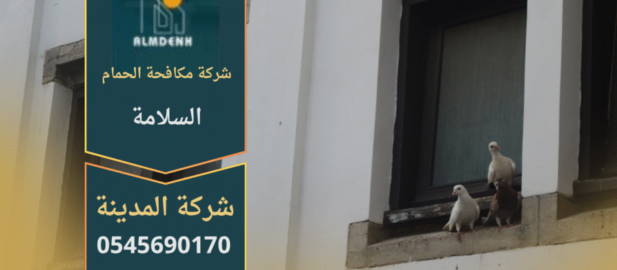 صورة توضح أعمال شركة مكافحة حمام في السلامة أثناء تركيب شبك واقٍ لمنع تجمع الحمام على الأسطح والمباني.