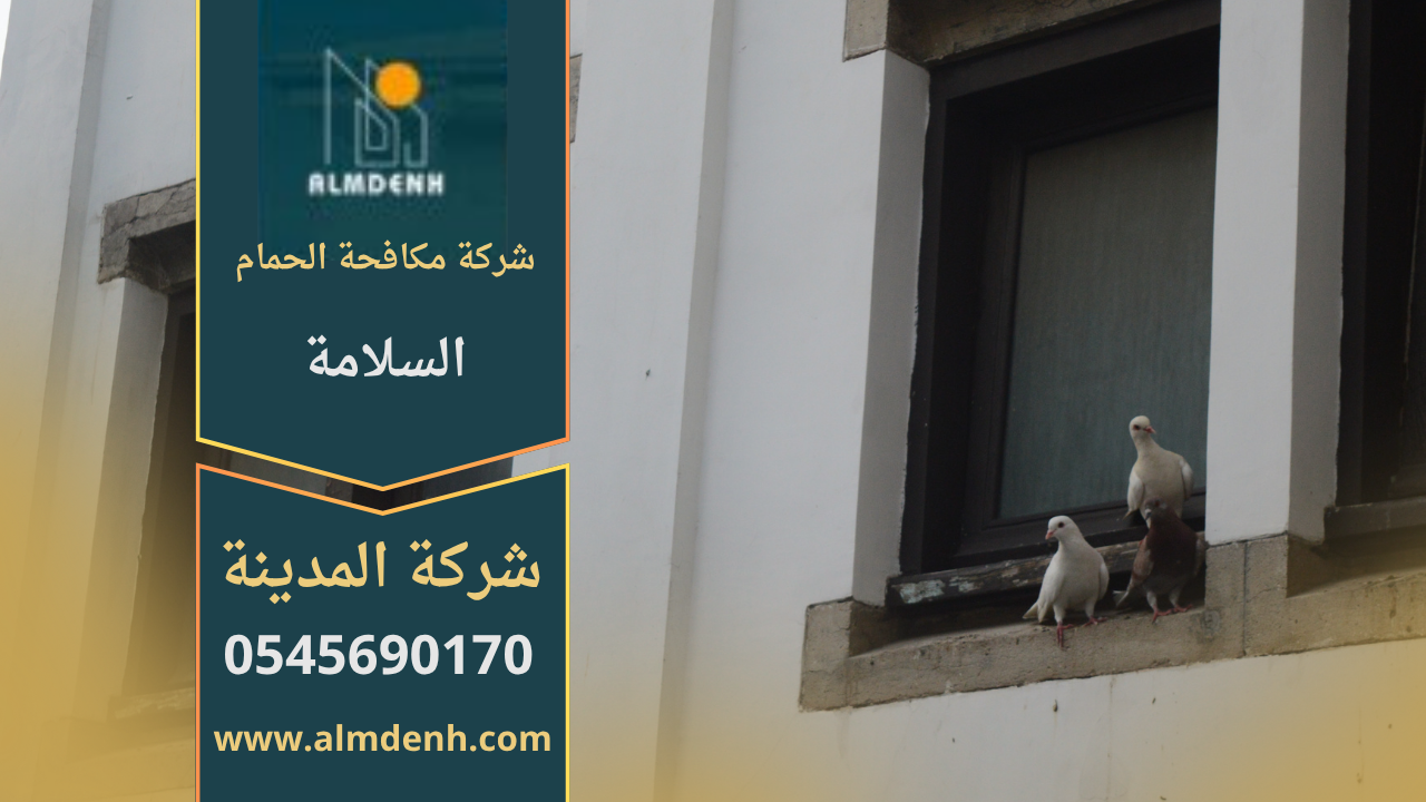 صورة توضح أعمال شركة مكافحة حمام في السلامة أثناء تركيب شبك واقٍ لمنع تجمع الحمام على الأسطح والمباني.