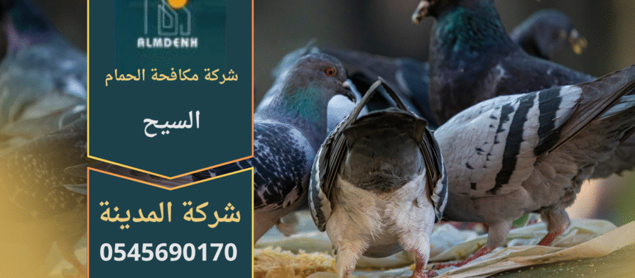 صورة توضح تجمع الحمام على أسطح المباني في السيح مع حلول متخصصة من شركة مكافحة الحمام في السيح لإبعاد الطيور وحماية الممتلكات.