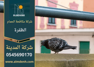 مكافحة الحمام في ابوظبي,طرد الحمام في ابوظبي,تركيب شبك طارد الحمام في ابوظبي,شركات مكافحة الحمام في ابوظبي,حلول إبعاد الحمام في ابوظبي,شركة مكافحة الحمام في ابوظبي